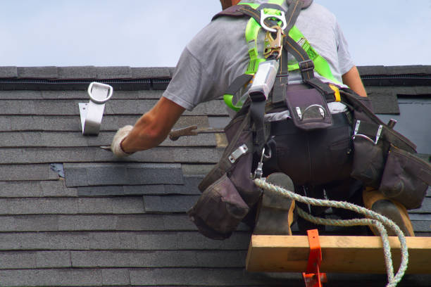 Best Gutter Installation and Roofing  in Hackleburg, AL