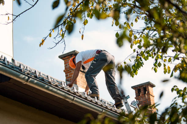 Best Commercial Roofing Services  in Hackleburg, AL