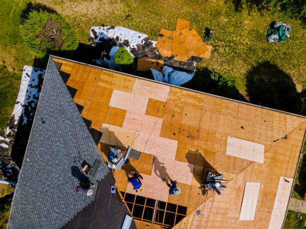 Best Metal Roofing Contractor  in Hackleburg, AL