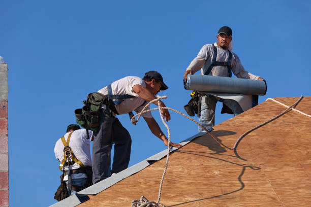 Roof Gutter Cleaning in Hackleburg, AL