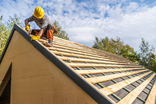 Best Local Roofing Companies  in Hackleburg, AL
