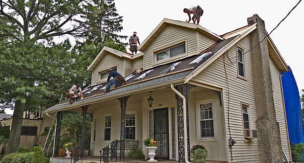Best New Roof Installation  in Hackleburg, AL